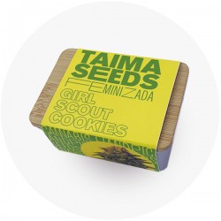 Taima Girl Scout Cookies