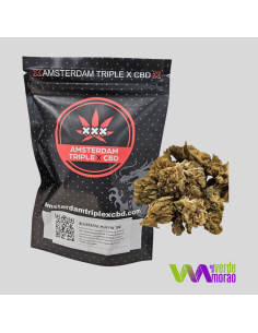 Blueberry Muffin Small Buds|Flor CBD