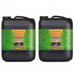 Garrafas negras con etiquetas verde y amarillo.