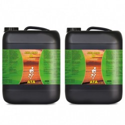 garrafas negras con etiqueta verde y amarillo