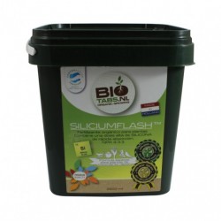 Biotabs Silicium Flash