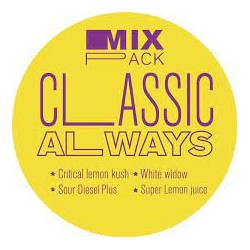 Taima CLASSIC Always – MIX PACK