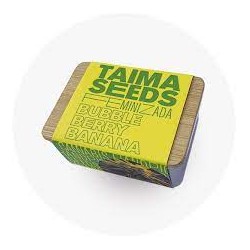 Taima Bubble Berry Banana