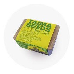 Taima Candy Banana Kush