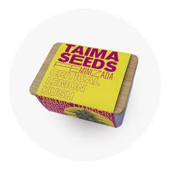 Taima Critical Lemon Kush