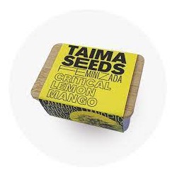 Taima Critical Lemon Mango