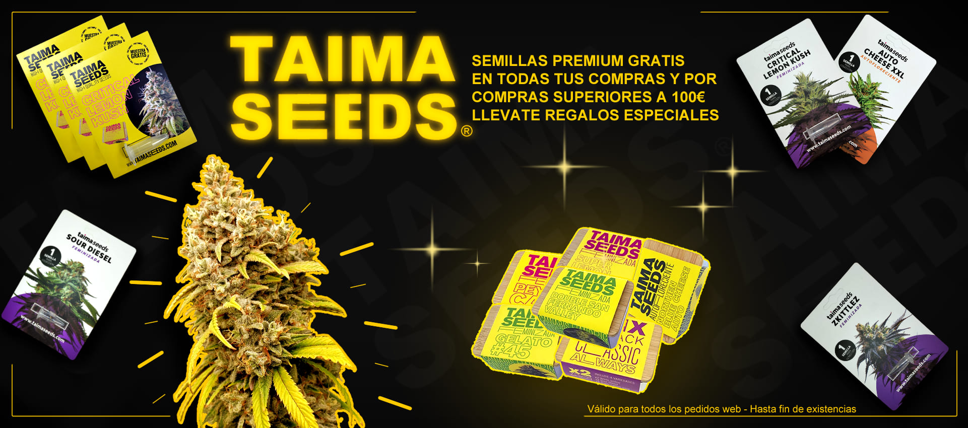 Publicidad de Taima Seeds con semillas de cannabis, ofertas y logotipo en amarillo y negro.