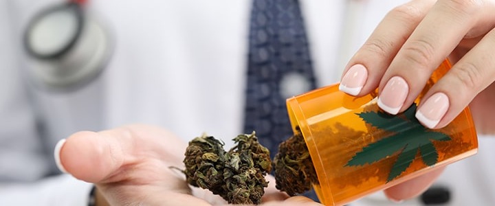 Usos terapéuticos del cannabis